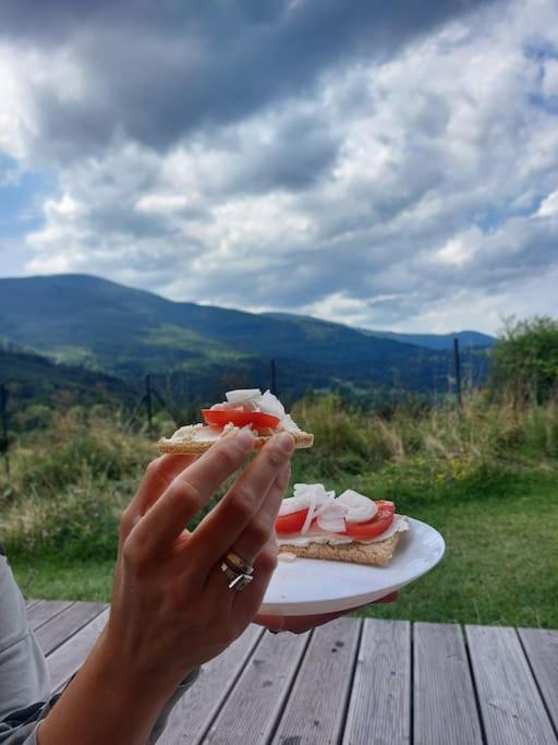 Panorama Sucha Gora ,Lesny Domek Skawica  外观 照片
