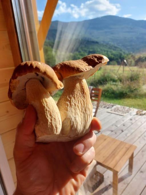 Panorama Sucha Gora ,Lesny Domek Skawica  外观 照片