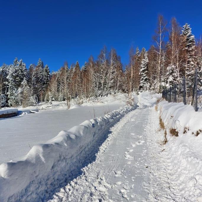 Panorama Sucha Gora ,Lesny Domek Skawica  外观 照片
