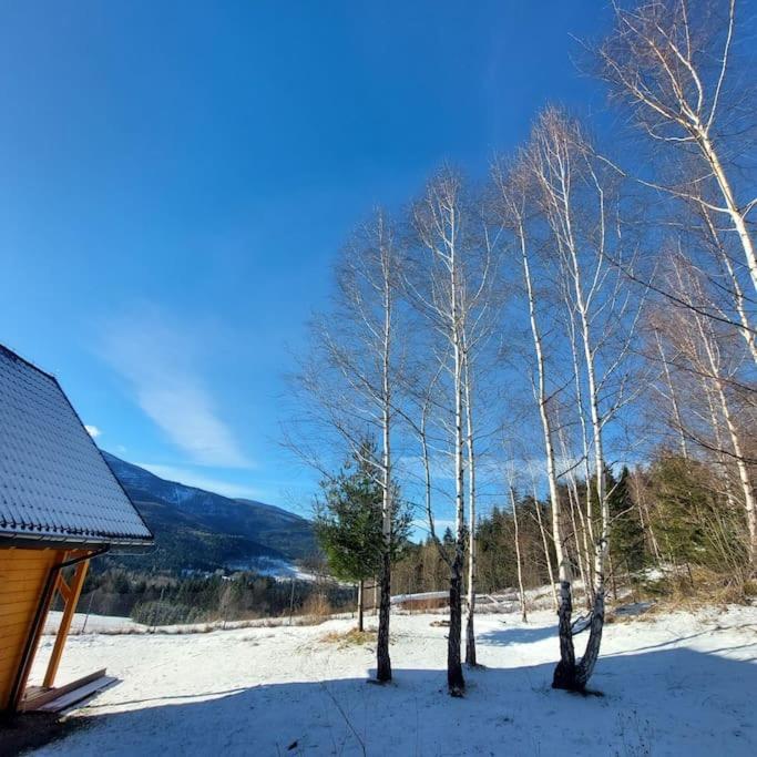 Panorama Sucha Gora ,Lesny Domek Skawica  外观 照片